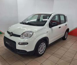 FIAT PANDA FIAT PANDA CROSS CROSS 1.0 FIREFLY S&S HYBRID DEL 2024 USATA A TERRANUOVA BRACCIOLINI