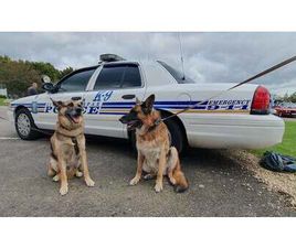 2010 FORD CROWN VICTORIA