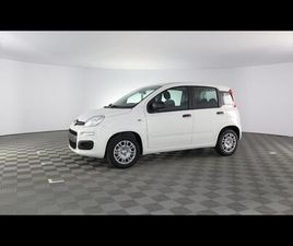 FIAT PANDA NUOVA MY25 1.0 70CV HYBRID PANDA