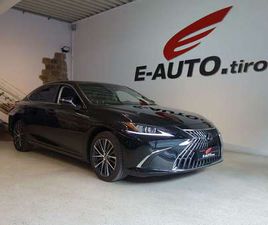 300H BUSINESS LINE AUT. HYBRID *SCHIEBEDACH *218P