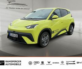 BYD DOLPHIN DOLPHIN SURF - COMFORT