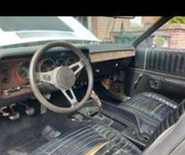 PLYMOUTH ROAD RUNNER 1972 PLYMOUTH ROAD RUNNER