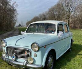 FIAT 1100 1100 EXPORT - ASI - IMPIANTO A GPL