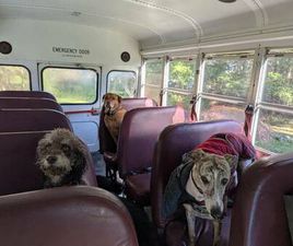 FORD E350 MICRO-BIRD BUS