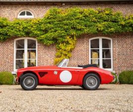 AUSTIN HEALEY 3000 MK III (BJ8)