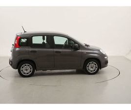 FIAT PANDA PANDA HYBRID 1.0 MILD HYBRID 70CV