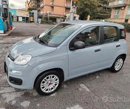 FIAT PANDA FIAT PANDA 1.2 EASY