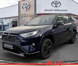RAV4 2.5 HYBRID 4X4 STYLE SELECTION ACC LED 360°