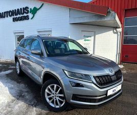 STYLE/PANO/NAVI/SHZ/TEMP/S+W/KAM/APPLE