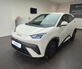 BYD DOLPHIN DOLPHIN SURF 30 KWH 88 CH