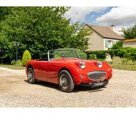 AUSTIN HEALEY SPRITE FROGEYE