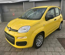 FIAT PANDA FIAT PANDA HYBRID HYBRIDE DE 2024 SUR DRONGEN (9031) | SPOTICAR