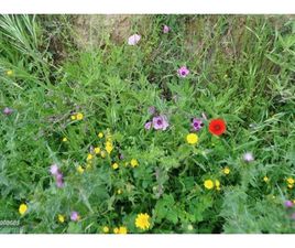 2.5 TDI 4X4 NAVI COMAND CAM TV-KLIMATIZADOR-LLANTAS 4X4