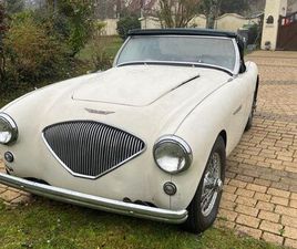 AUSTIN HEALEY 100 BN1 1953