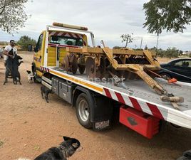 NISSAN CAMION L-35 CHASIS CABINA