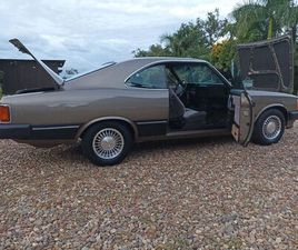 DIPLOMATA/DIPLOM. SLE 4.1/2.5