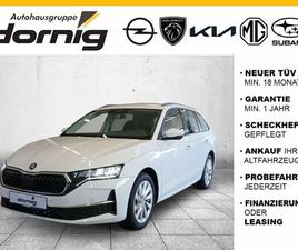 SELECTION 1.5 TSI MHEV,SITZH.,KAMERA,NAV