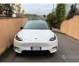 TESLA MODEL Y PERFORMANCE