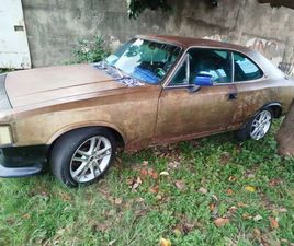 DIPLOMATA/DIPLOM. SLE 4.1/2.5