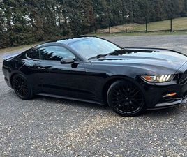 FORD MUSTANG FASTBACK FORD MUSTANG