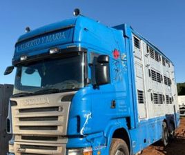 SCANIA R480 - CAJA GANADERA