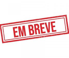 PREMIER 1.2 TURBO 12V FLEX AUT