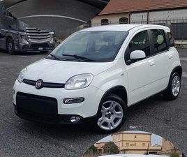 PANDA HYBRID ANNO 2024