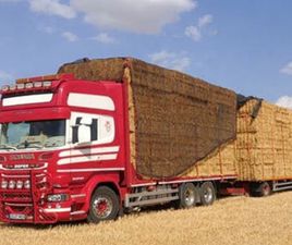 SCANIA - R730 EURO6