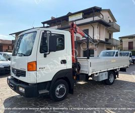 NISSAN ATLEON ATLEON (2ª SERIE) CON GRU