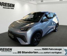 BYD DOLPHIN DOLPHIN SURF BOOST/FERNLICHT-ASSISTENT/KLIMAANLA