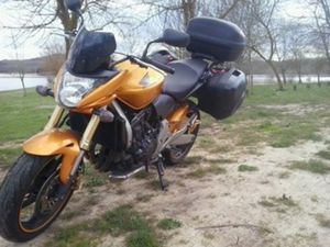 HONDA CB 600 HORNET F