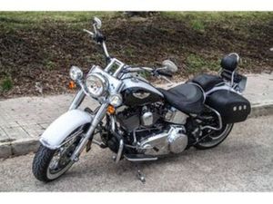 HARLEY DAVIDSON FLSTN