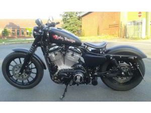 HARLEY DAVIDSON SPORTSTER 883 HUGGER LOW
