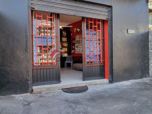 LOCAL COMMERCIAL OU PROFESSIONNEL 38 m2