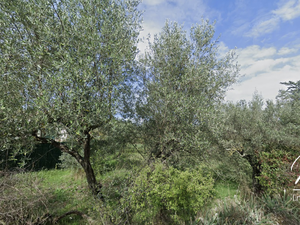 Terrain à bâtir ALES Lieut dit Saint-Etienne