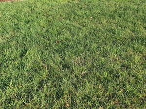 Achat Terrain 784m²