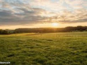 Recherche terrain Constructible