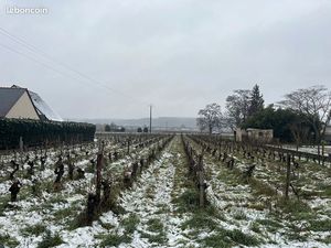 Terrain 2282 m² BOURGUEIL