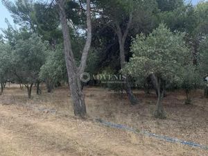 Local commercial 4 697 m²