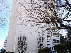 Appartement T3 rue de la montat