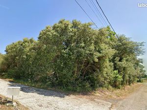 TERRAIN ZONE N - 4246m²