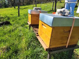 Recherche terrain secteur ayse