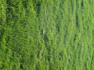 Terrain 347 m² Saint Hilaire De Riez