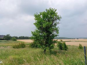 Terrain 521 m² Galfingue