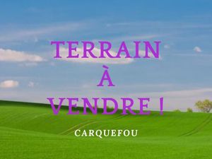 Terrain 300 m² Carquefou