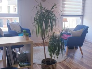 Cabinet à louer 3 jours 17m2 lumineux chaleureux