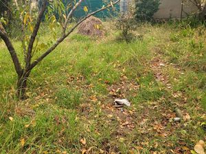 Vente jardin potager ou d'agrement