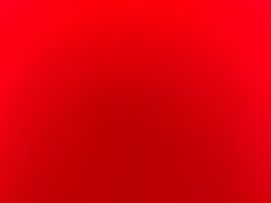 Cherche appartement T2/T3