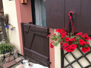 A louer appartement Gresswiller