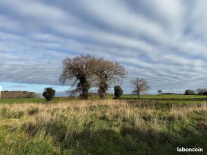 Terrain 281 m² RIANTEC